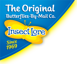 insect lore